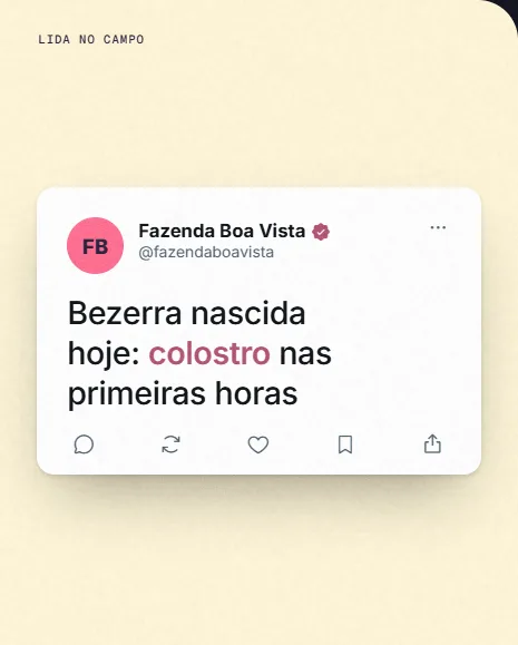 Exemplo de post da Vizível para produtores, revendas e cooperativas