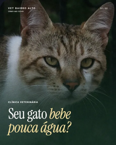 Exemplo de post da Vizível para veterinárias, clínicas e pet shops