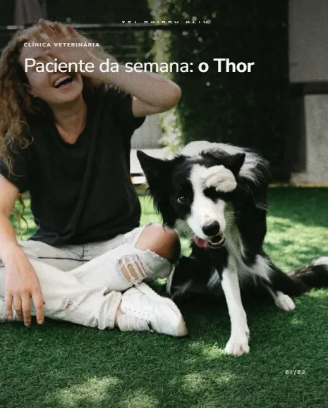 Exemplo de post da Vizível para veterinárias, clínicas e pet shops