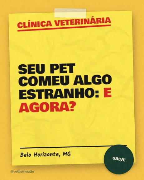 Exemplo de post da Vizível para veterinárias, clínicas e pet shops