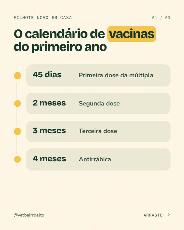 Post de Veterinária, estilo Linha do tempo