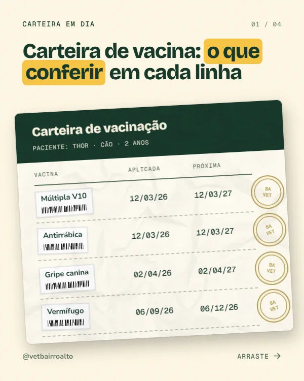 Post de Veterinária, estilo Carteira de vacina
